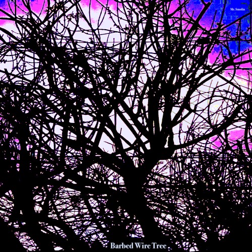 Barbed Wire Tree