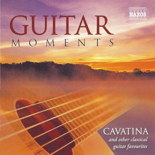 Guitar Moments