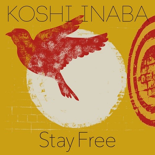 Stay Free