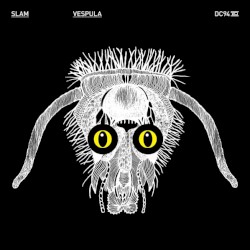 Vespula
