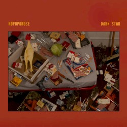 Dark Star