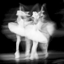 Sudden Feathers (Black Swan Sample)