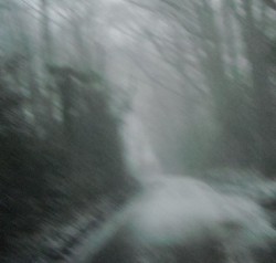 Snow Tales
