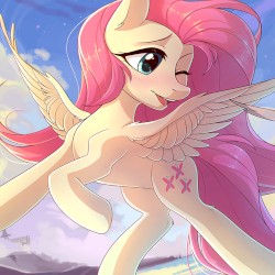 fly out with me