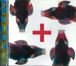 Testa plastica