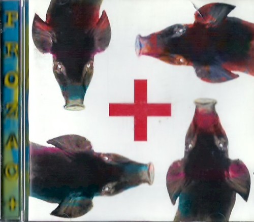 Testa plastica