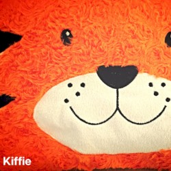 picture book (t is for tiger)