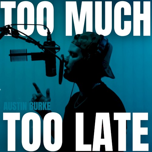 Too Much Too Late