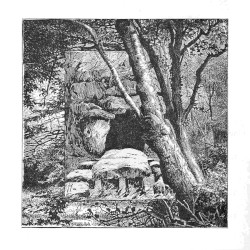 Forest Dwelling