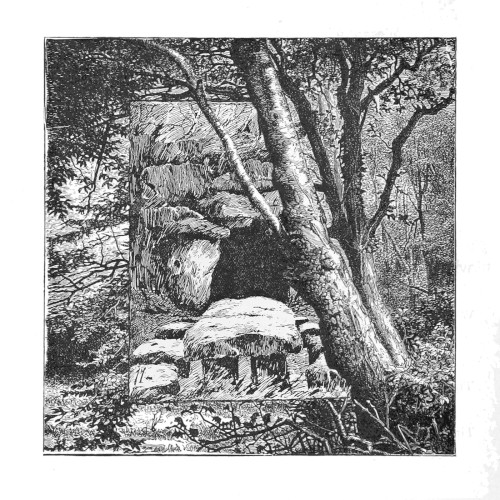 Forest Dwelling