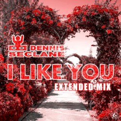 I Like You (Extended Mix)