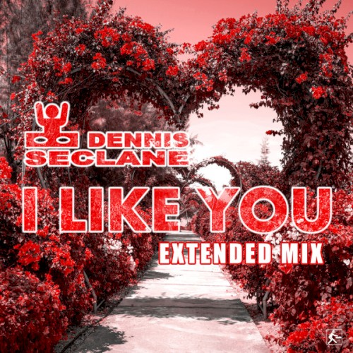 I Like You (Extended Mix)