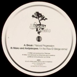 Natural Progression / In the Raw (D Bridge remix)