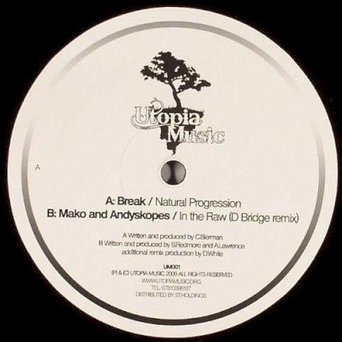 Natural Progression / In the Raw (D Bridge remix)