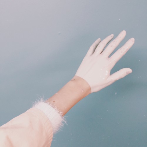 Touch the Feel