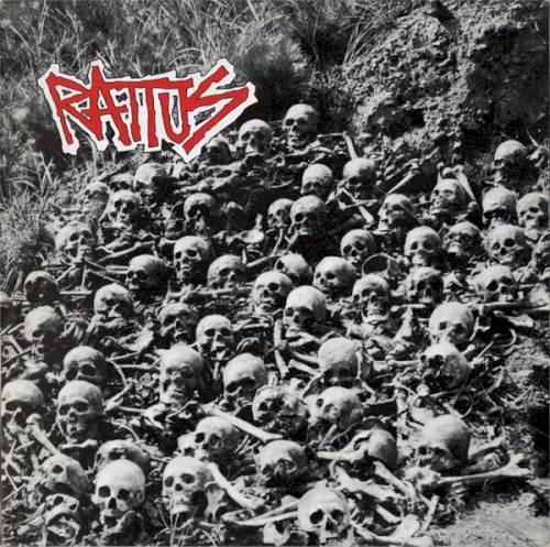 Rattus