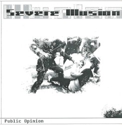 Public Opinion