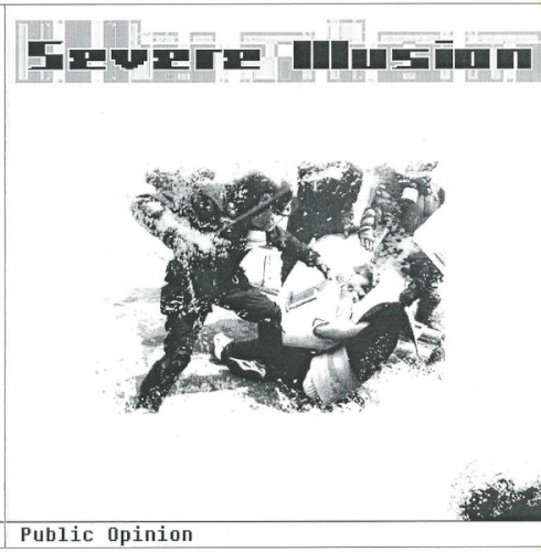 Public Opinion