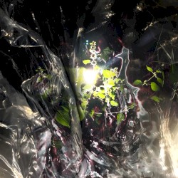 Petals of Nehan