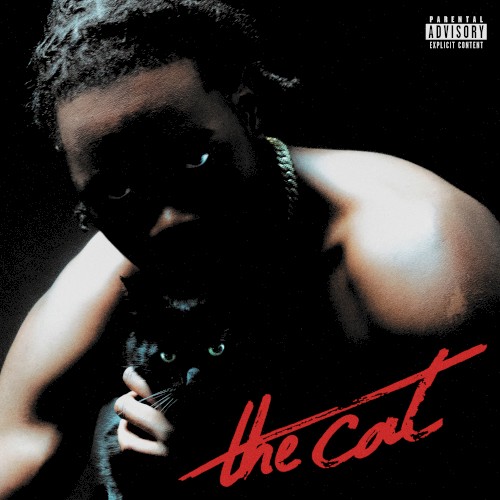 The cat