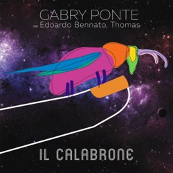 Il calabrone
