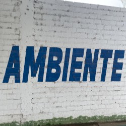 AMBIENTE