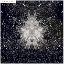 Emergence