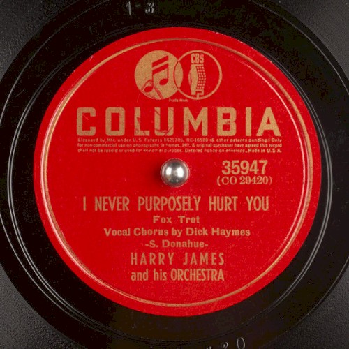 I Never Purposely Hurt You / Flatbush Flanagan