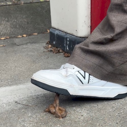 Scheiße am Schuh