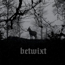 Betwixt