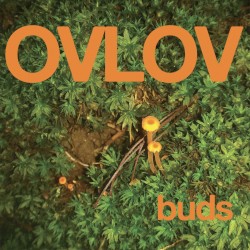 Buds
