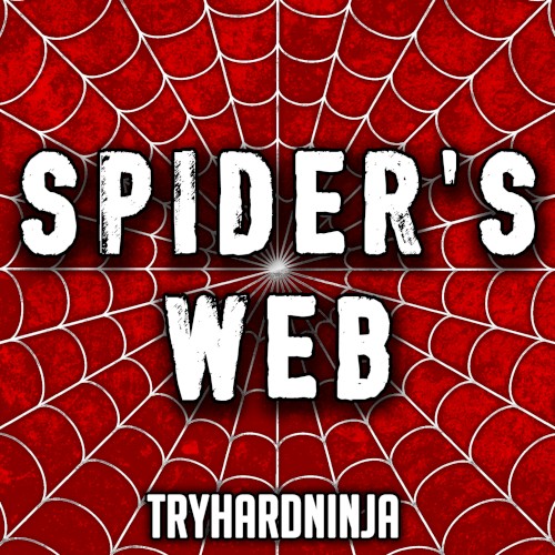 Spider’s Web