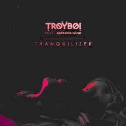 Tranquilizer