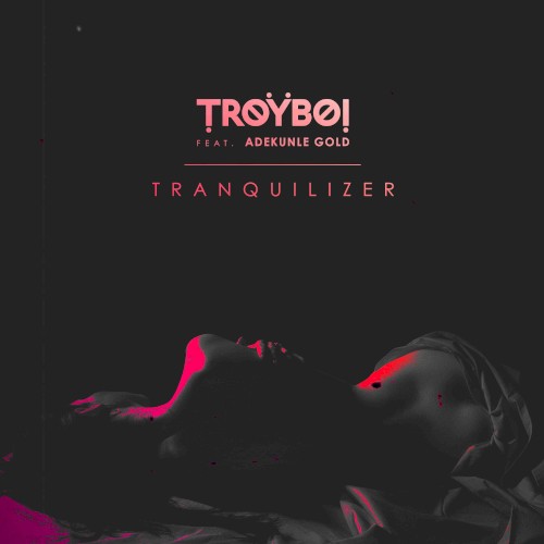 Tranquilizer