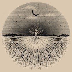 Growth