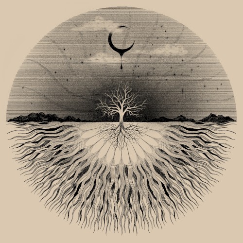 Growth