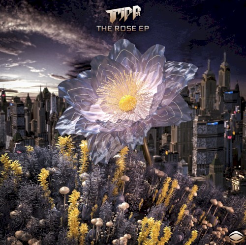 The Rose EP