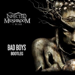 I Wish (Bad Boys Bootleg)
