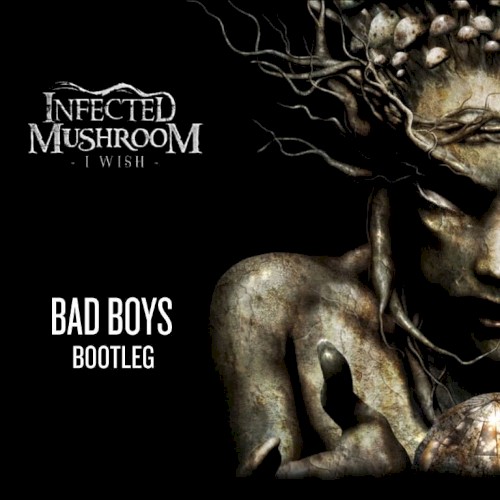 I Wish (Bad Boys Bootleg)
