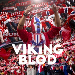 Vikingblod