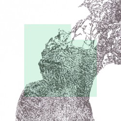 Peace Fragments