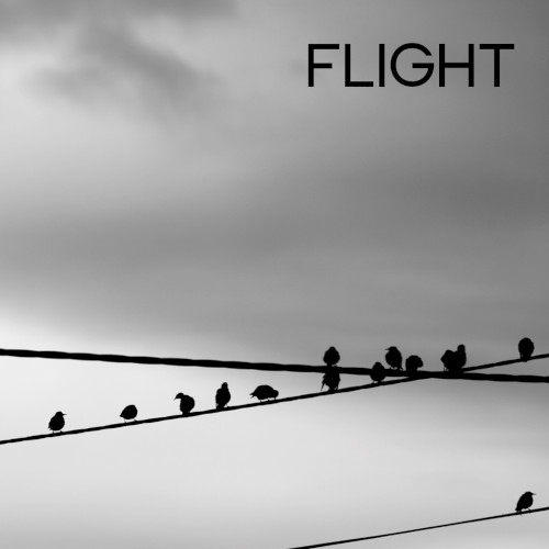 Flight