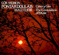 Cysur y Gân / The Consolation Of Music