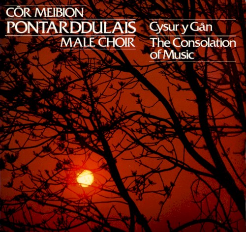 Cysur y Gân / The Consolation Of Music