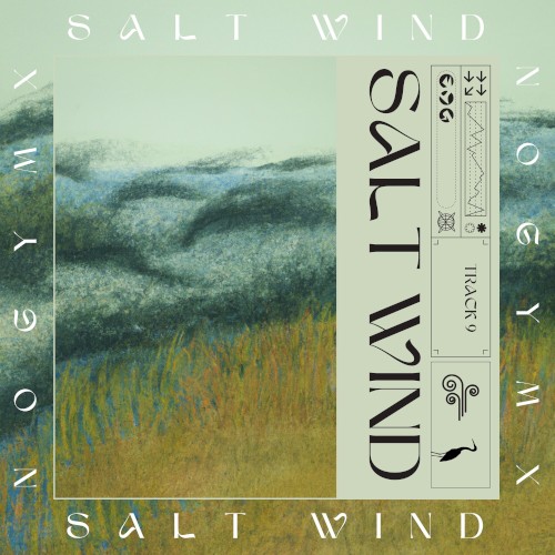 Salt Wind