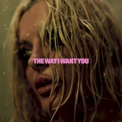 The Way I Want You