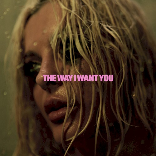 The Way I Want You