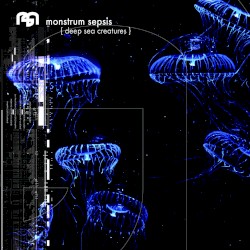 Deep Sea Creatures