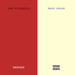 Dropout