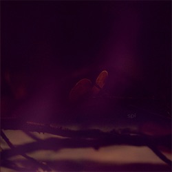 SPL Album